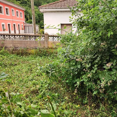 Rural Casa Carolina ゲストハウス